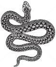 Vector illustration of black and white snake... - Stock Illustration  [80330347] - PIXTA